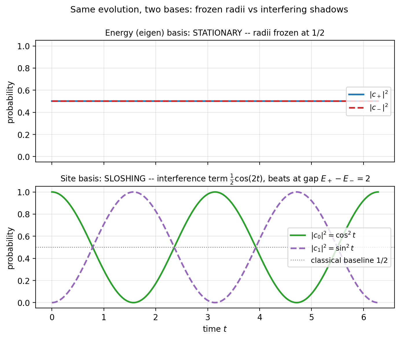 Probabilities over time: eigenbasis flat at one half, site basis sloshing as cosine-squared and sine-squared.